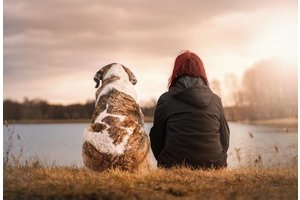 9 признаков, что коллеги в вас верят и желают вам успеха