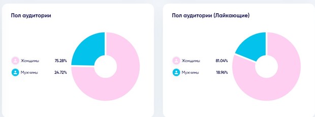 Вкладка «Тип аудитории»